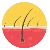 Hair Transplant